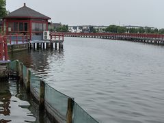 -鹅湖玫瑰文化园