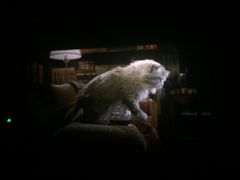 -纵横国际影城杜比全景声巨幕(天安云谷店)