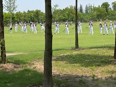 -上海长兴岛郊野公园