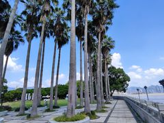 -江心屿景区