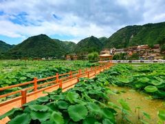 -秦岭天竺山景区