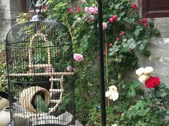 -回龙窝历史文化街区