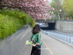 -无锡梅园公园
