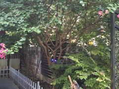 -湖庭壹品鸭王·传统北京烤鸭·别墅私房菜·庭院宵夜(江宁店)