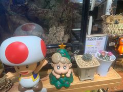 -Rabbit Cafe私房西餐甜点咖啡(栖霞路店)