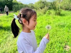 -御道口草原森林风景区