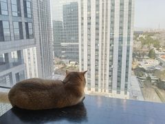 -弹指之间吉他培训(石景山店)