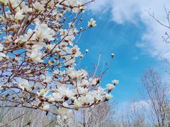 -东郊湿地公园