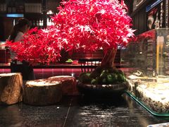 -杉海和牛烧肉海鲜自助(会展城店)
