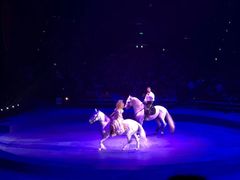 -珠海横琴长隆《卡卡虎奇遇记》