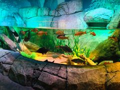 -沈阳海洋探索中心