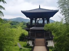 -大唐贡茶院