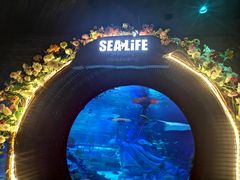 -沈阳海洋探索中心