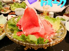 -东颖龙肥牛王(绵阳店)