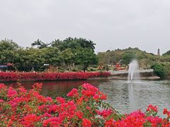 -广州莲花山旅游区