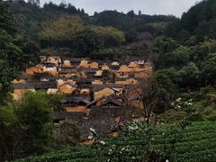 -杨家堂村