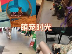 -宝山日月光中心
