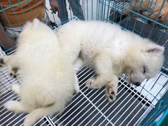 -方恒购物中心(望京小街店)