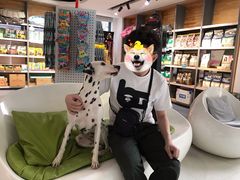 -奈斯宠物医院·核磁CT·异宠专科·内镜(中南店)
