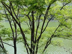 -秦岭终南山世界地质公园翠华山景区