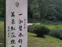 -重庆彩云湖湿地公园