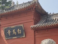 -洛阳白马寺