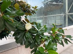 -南京市规划建设展览馆