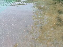 -鞍山岫岩沟汤温泉