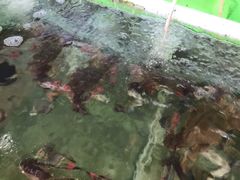 -四海鲜渔家菜(黄金海岸店)