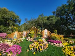 -上海共青森林公园