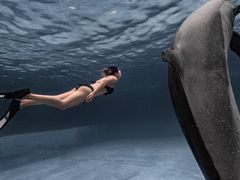 -亚龙湾海底世界