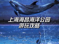 -上海海昌海洋公园