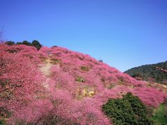 -溪口-滕头旅游景区