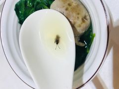 -御信客家王(洛溪店)