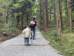 -罗田薄刀峰风景区