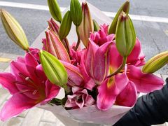 -双季花艺园艺市场(浦东店)