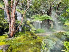 -Chom Cafe and Restaurant