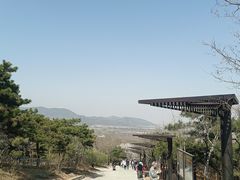 -北京西山国家森林公园