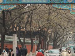 -北京国子监胡同