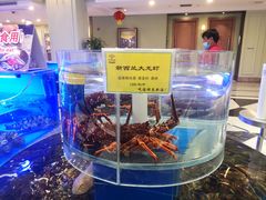 -新海渔港·胶东海鲜家常菜·家宴(奥体中心店)