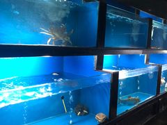 水产区-王家渡火锅店(亦庄店)