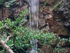 -上海虹桥宾馆味翠餐厅