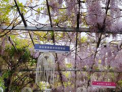 -武汉紫薇都市田园