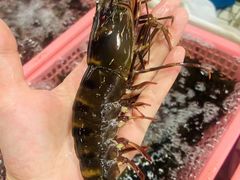 -四海之家(蛇口店)