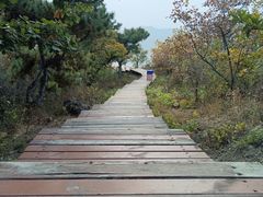 -北京十三陵国家森林公园蟒山景区