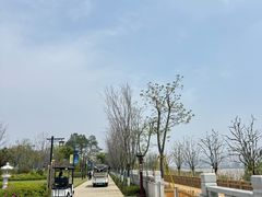 -江心屿景区