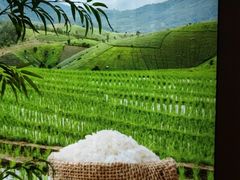 -湘邻呷铺·田园家宴(汉基广场店)