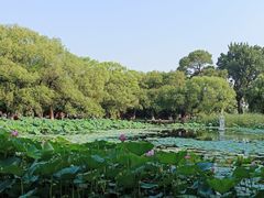 -北陵公园
