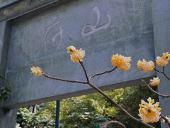 -孔氏南宗家庙