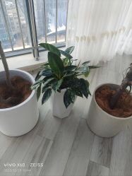 -HEYAN荷妍专业脱毛连锁机构
